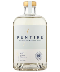 Pentire Adrift