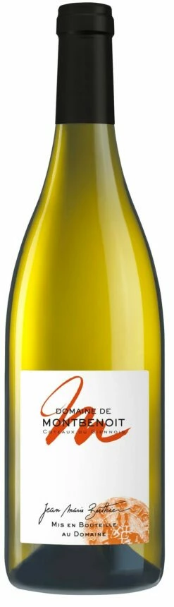 Berthier Domaine De Montbenoit Côteaux Du Giennois Blanc